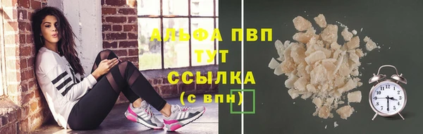 spice Каменногорск