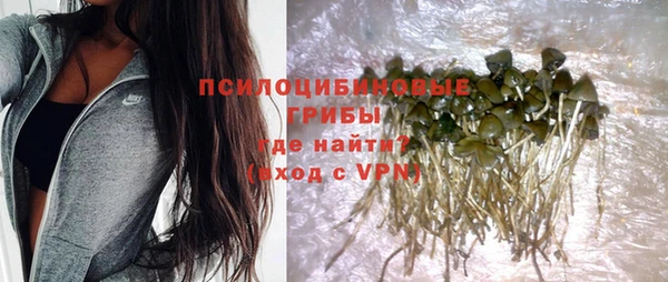бутират Иннополис