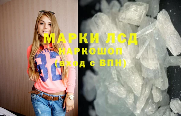 индика Инта