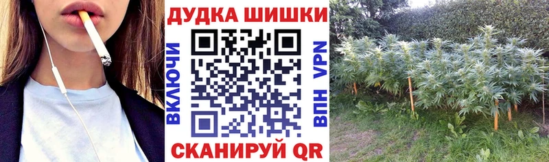 Бошки марихуана план  Кондрово 